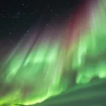 Yggdrasil Sea View * Tromsø