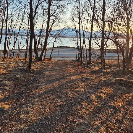 Daire Yggdrasil Sea View Tromsø